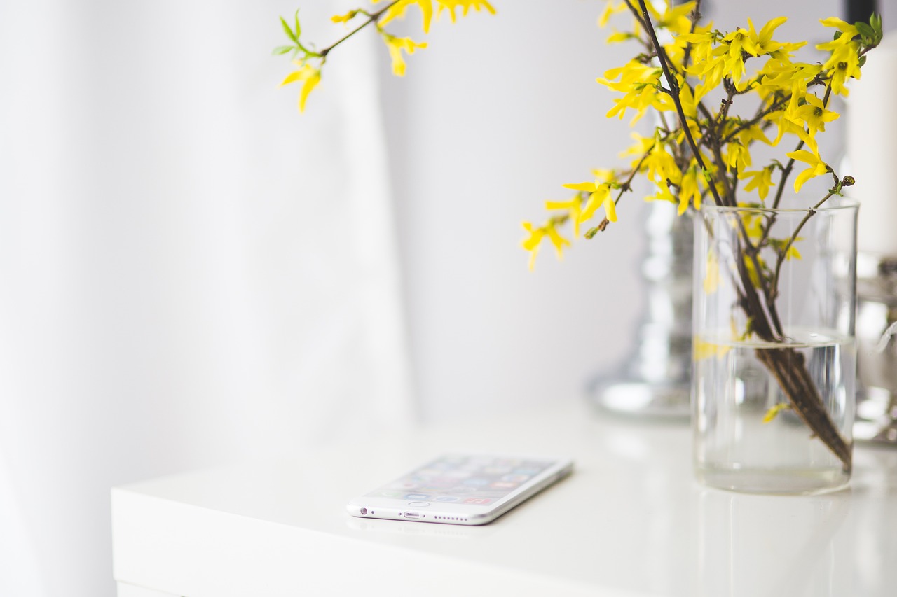 iphone-791450_1280